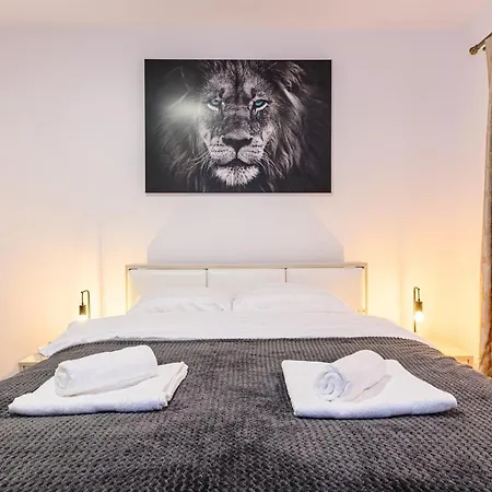 Apartment Casa Aurora 4 Brasov